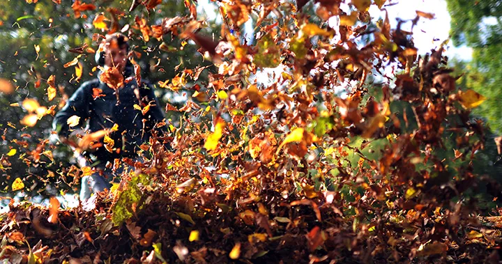 Preparing Your Home for the Fall Market: Top Tips to Sell Faster and for More